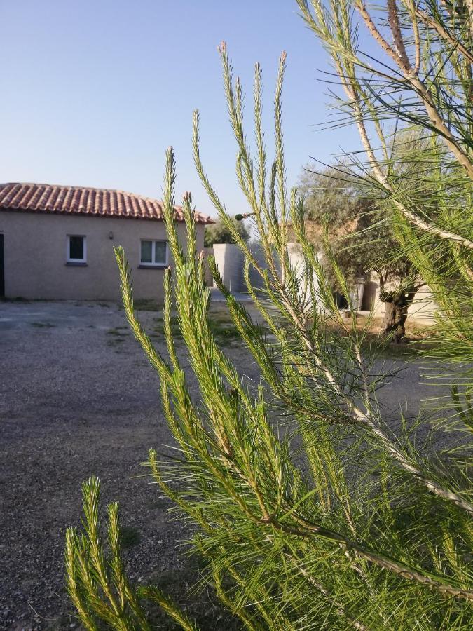 Maison Du Causse Magalas Exterior foto